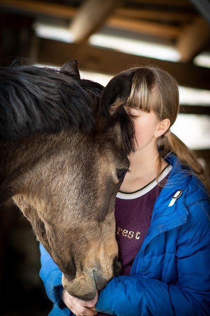 Communication animale avec un cheval